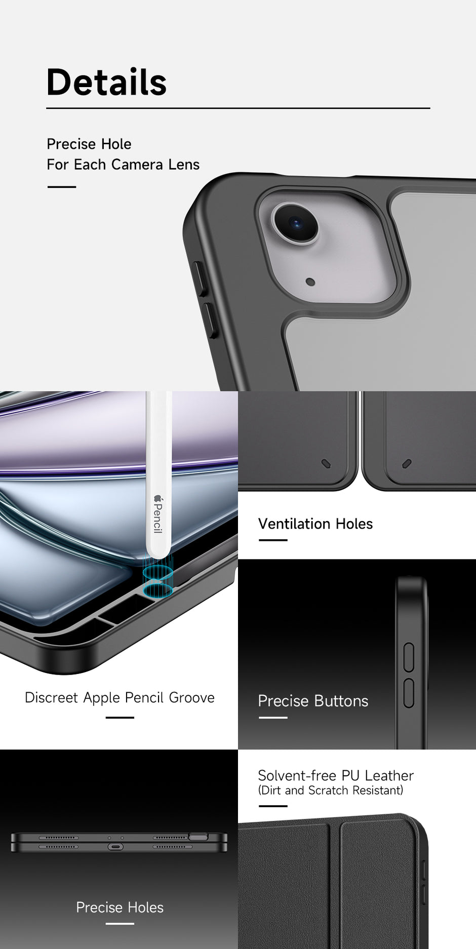Dux Ducis iPad case